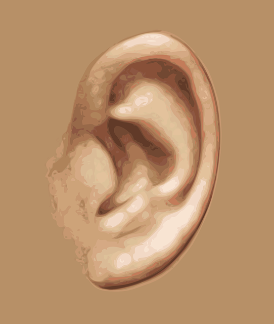 Ear image