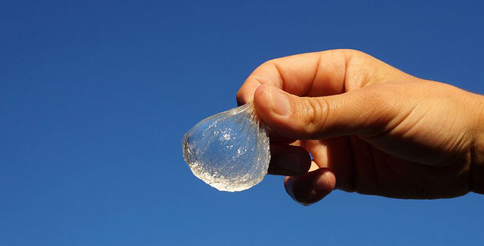 edible water bottle