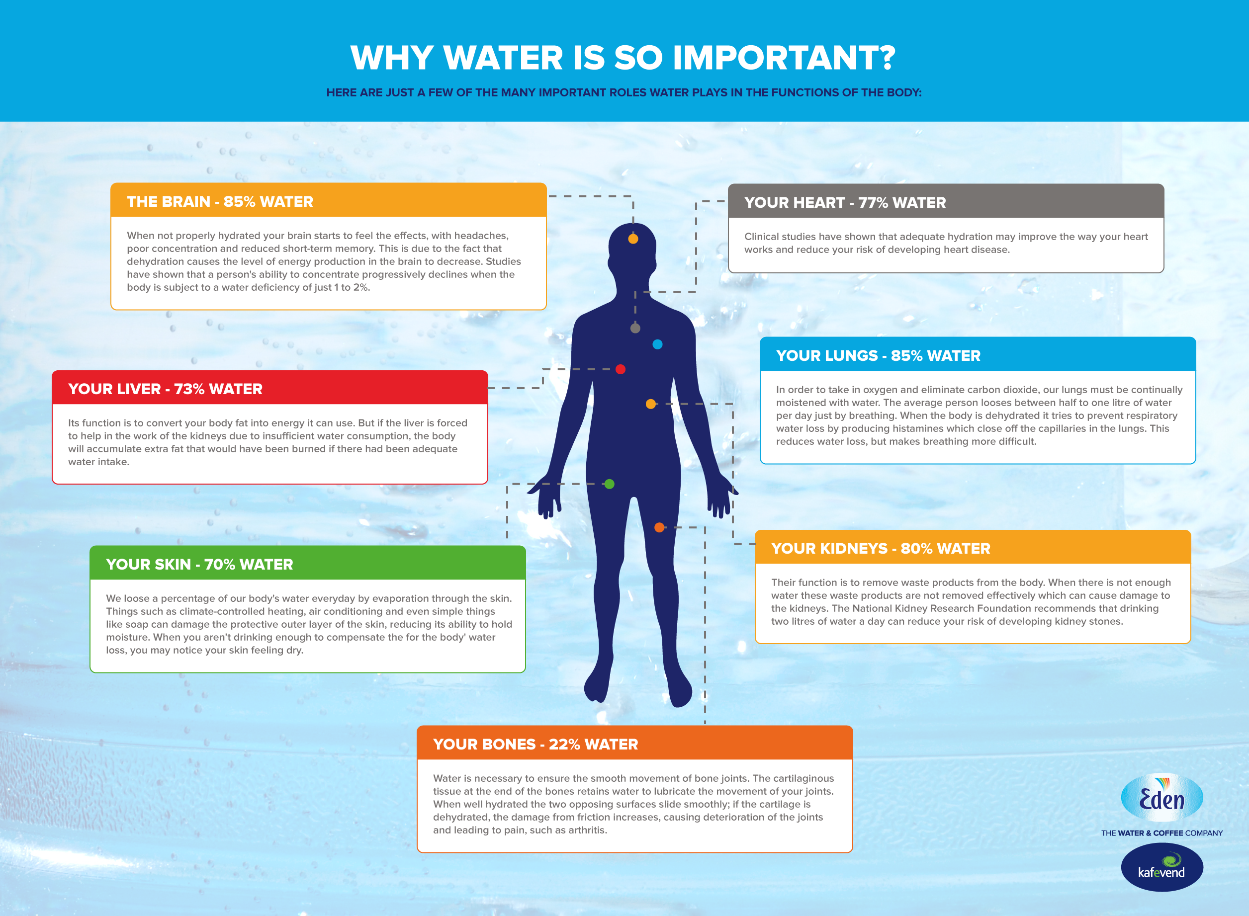 why-is-water-important